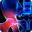 menu-Treatment-groinPain-23012024